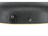 Applause Elite AE44 Mid Cutaway Applause Elite AE44 Mid Cutaway